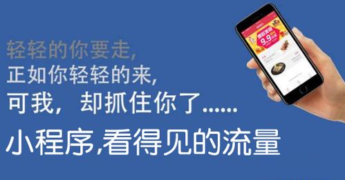 app不会消失, app 小程序 将会诞生跨行业巨头